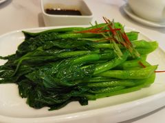 -丁老爷子苏香圆