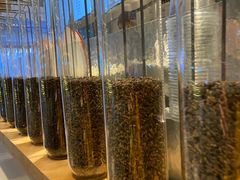 -喜茶(广州东方宝泰店)