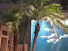 -弘安丽水温泉酒店