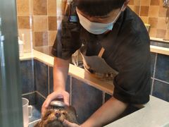 -我爱吾宠宠物美容院(朝阳路店)