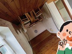 -金山农民画村-枫泾波兰倒置屋