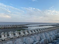 -南汇嘴观海公园