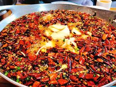 椒香水煮草鱼-渝乡人家(和平里店)