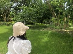-秀丽东方