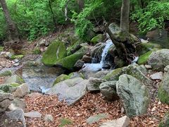 -三块石国家森林公园