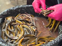 -三百碗宝应长鱼面(板仓街店)