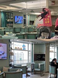 -华美国际月子会所(合生店)