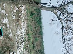 -王顺山国家森林公园