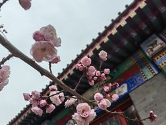-红螺寺