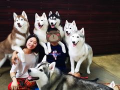 -TrueLove @ Neverland (Husky Cafe)