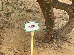 -盈香心动乐园