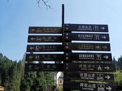 -武陵山森林公园