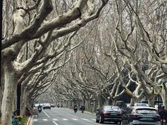 -一尺花园(安和花园店)