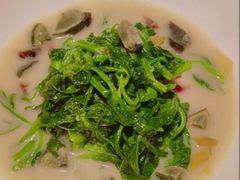 -秀儿四九城·新京菜(亚运村鸟巢店)