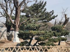 -济南大明湖景区