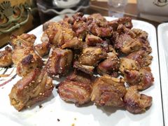 -金刚山烧烤(红旗大街店)