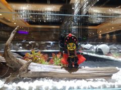 -红辣椒·川菜·火锅(张杨路店)