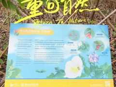 -福田红树林生态公园