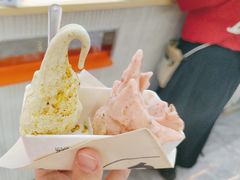 -野人先生现做冰淇淋(西安赛格店)