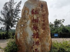 -东寨港红树林旅游区