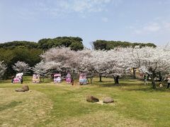 -苏州上方山国家森林公园