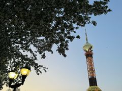 -裕华世纪公园