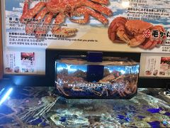 -蟹道乐(道顿堀本店)