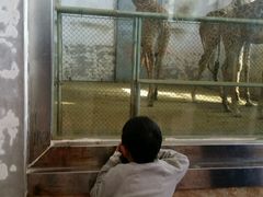 -石家庄市动物园