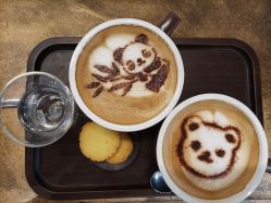 -成都新希望高新皇冠假日酒店-宴会厅·会议活动·户外场地