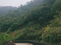 -田心森林公园
