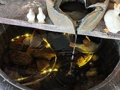 -崂山水果园农家宴(泉水鸡店)