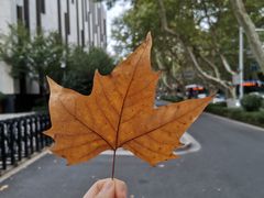 -江苏省美术馆(长江路新馆)