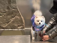 -J Create城市露营咖啡·简餐·宠物(上海动物园店)