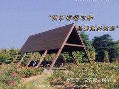 -上海滨江森林公园