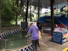 -广东茂名森林公园