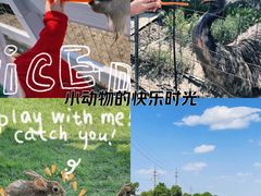 -菊园百果园