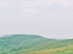 -恋山坝上草原