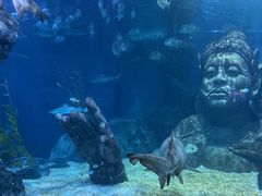 -暹罗海洋世界