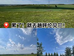 -呼伦贝尔大草原