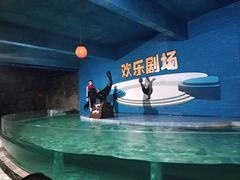 -南昌海洋公园