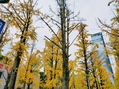-两江幸福广场