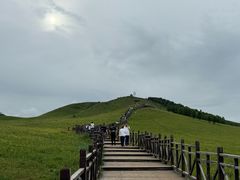 -御道口草原森林风景区