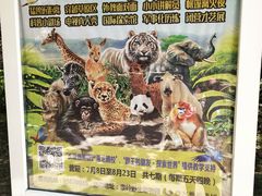 -西安秦岭野生动物园