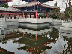 -石岛赤山风景区