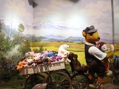 -济州岛泰迪熊博物馆