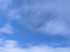 -大姆山草场