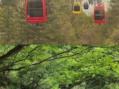 -洛阳白云山景区