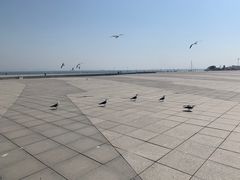 -东港音乐喷泉广场