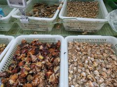 -盒马鲜生(财富中心店)