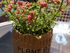 -蘭奢雅集·江浙菜(青山江滩店)